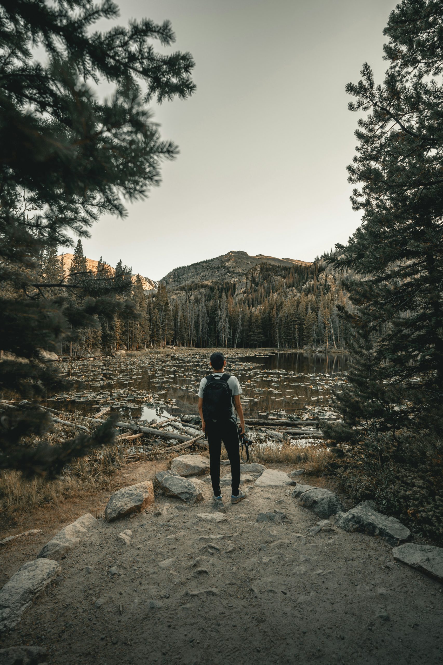 Man in a forest area looking up hopefully and confidently towards a mountain range.